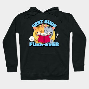 Best Friends Besties BFF Cute Cats Cute Kittens Hoodie